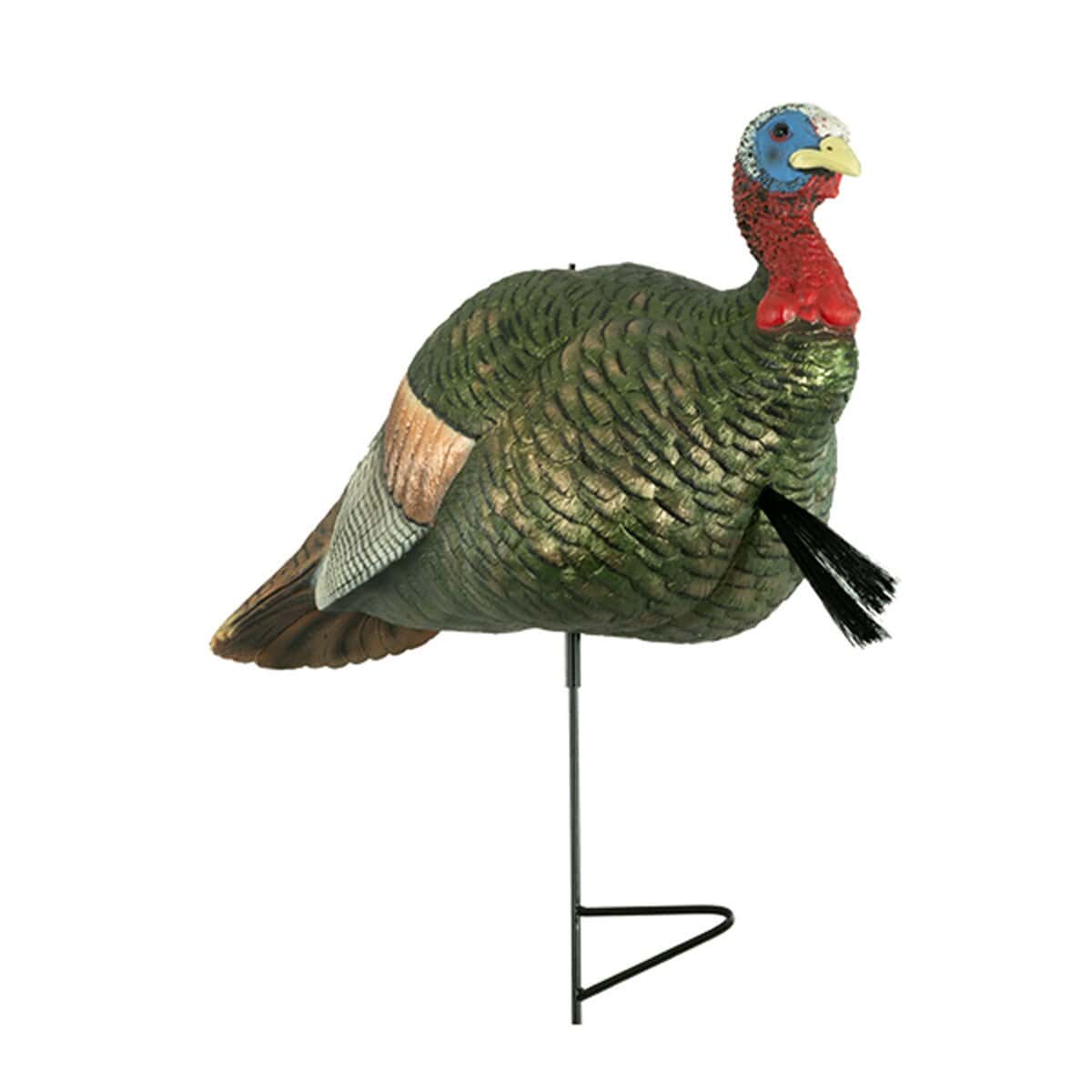 turkey jake decoy