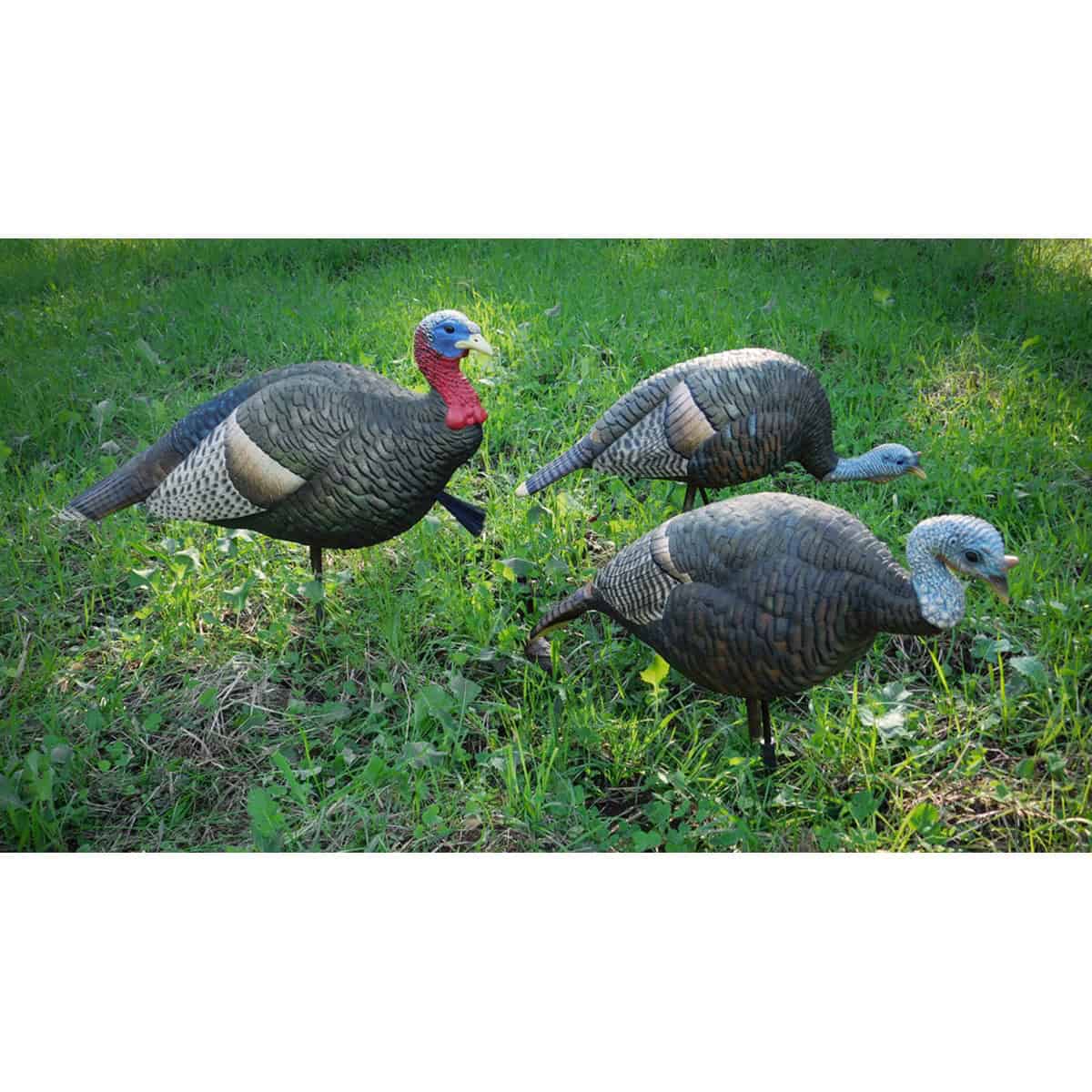 turkey decoys in grass