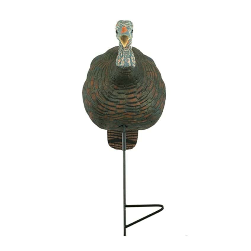 Relaxed Feeding Hen Turkey Decoy The Grind Outdoors