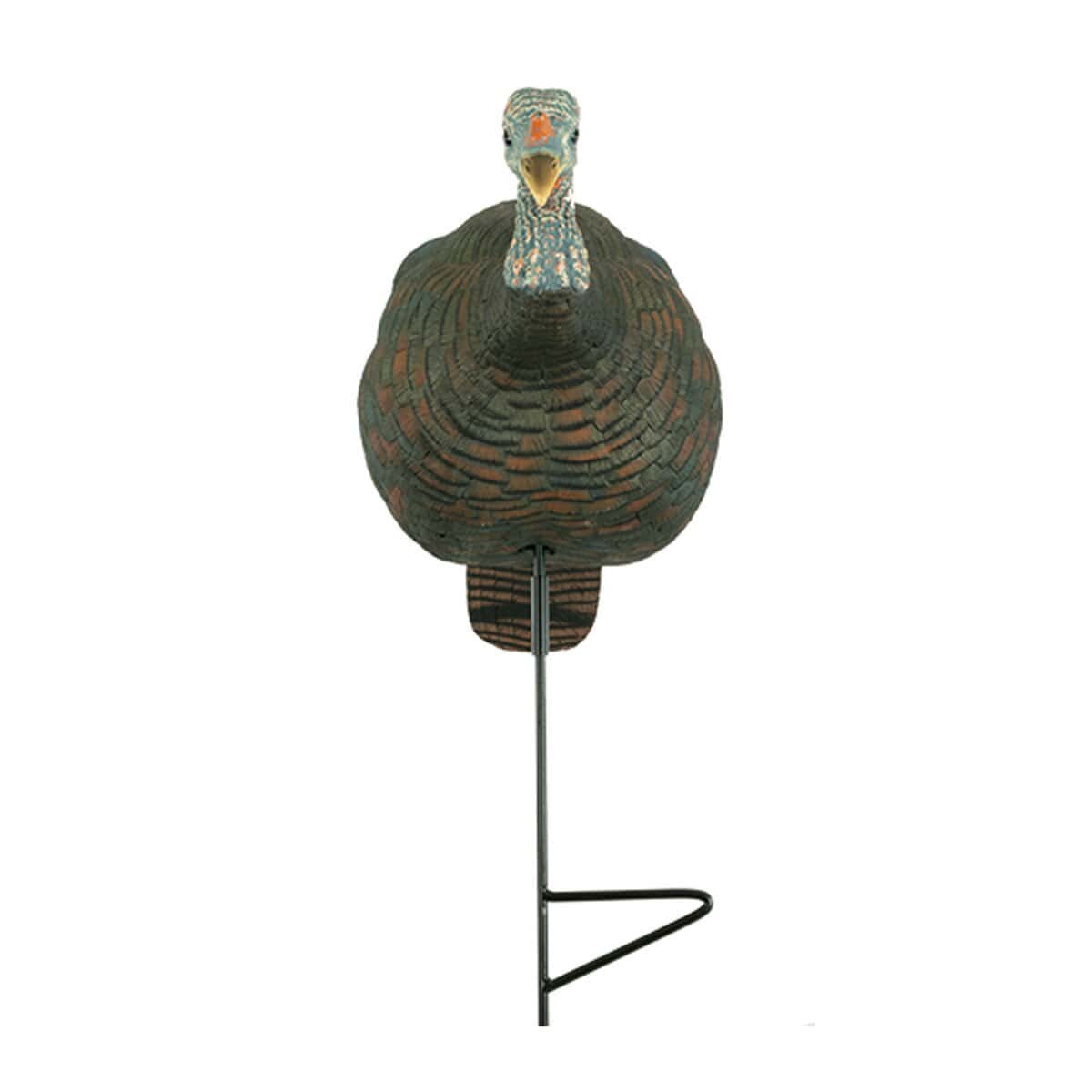 turkey hen decoy