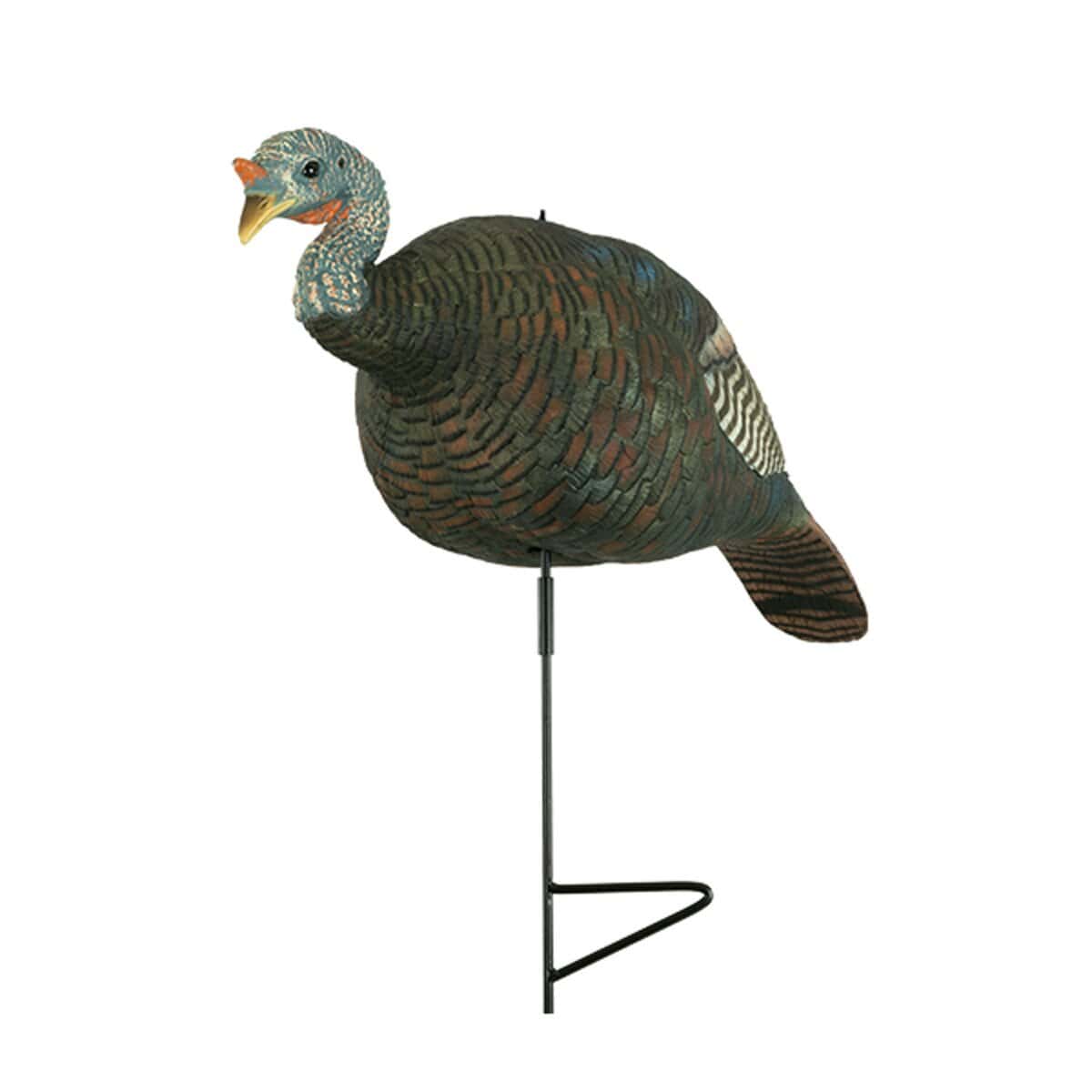 turkey hen decoy