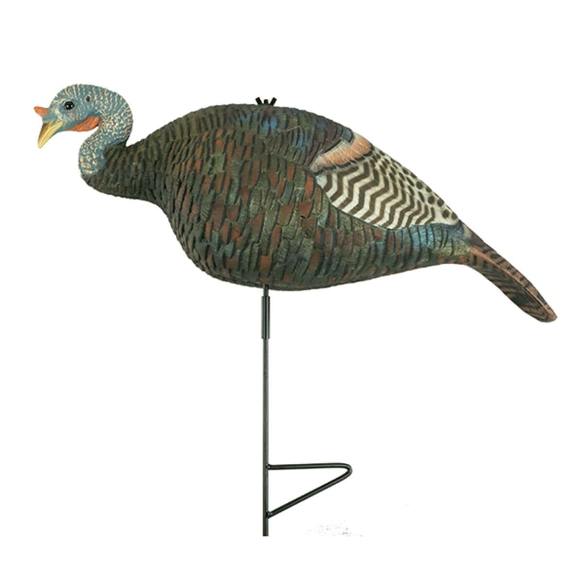 turkey decoy