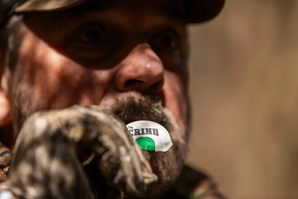 Why Gobblers Stop Responding to Turkey Calls Mid-Season And How to Fix It